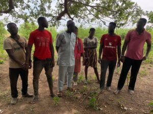 The seven suspects