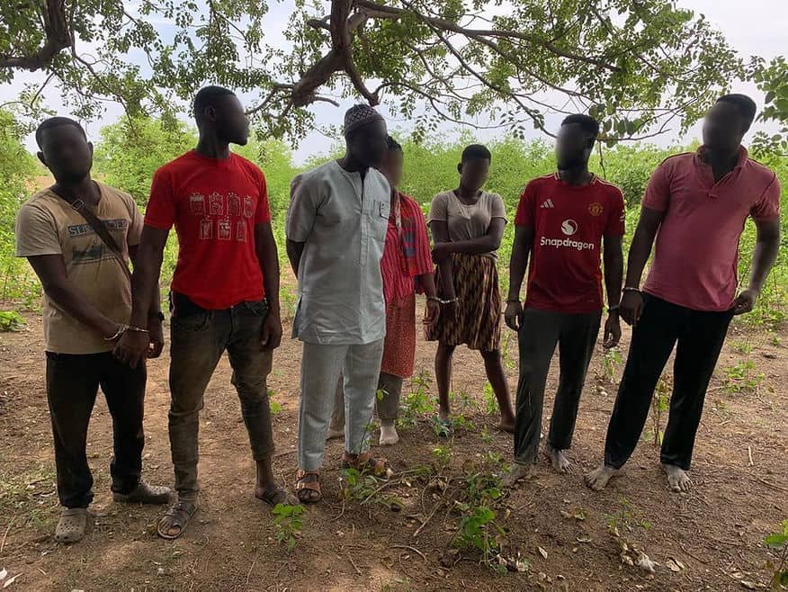 The seven suspects
