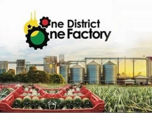 1d1f