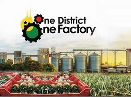 1d1f