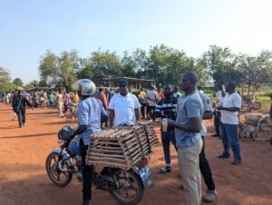 Revenue of collection at the market